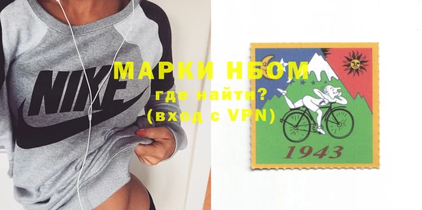 индика Богородицк