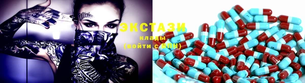 индика Богородицк