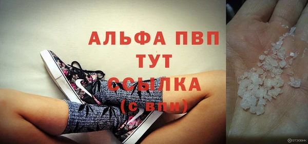 индика Богородицк