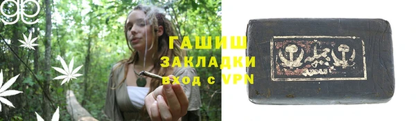 индика Богородицк