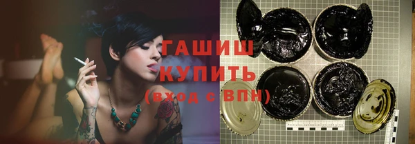 индика Богородицк