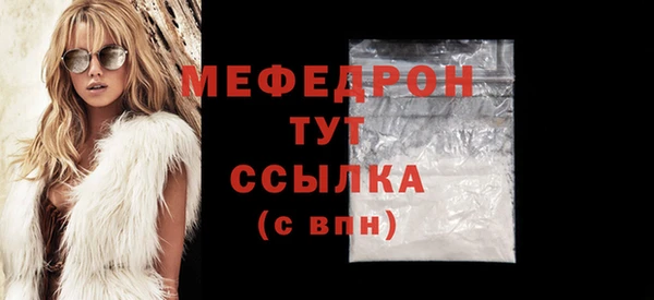 индика Богородицк