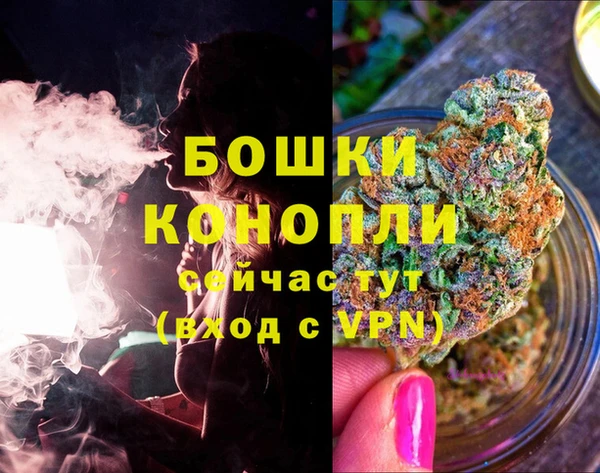 индика Богородицк