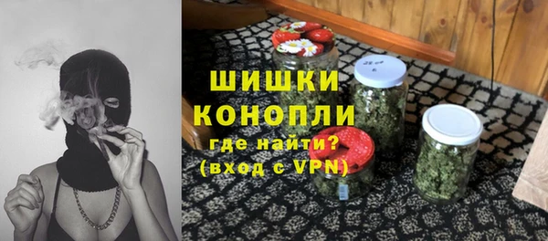 spice Богородск