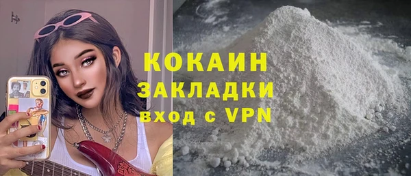 spice Богородск