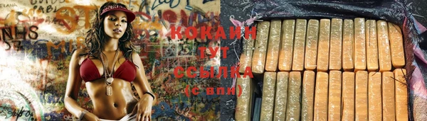 гидропоника Богданович