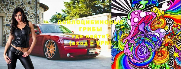 индика Богородицк