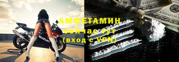 индика Богородицк