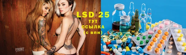 индика Богородицк