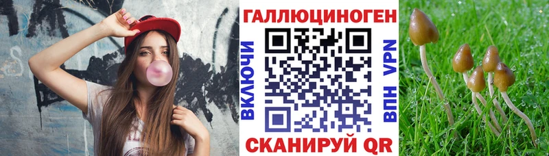 Галлюциногенные грибы GOLDEN TEACHER  Купить где  Губаха 